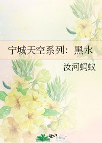 《宁城天空系列:黑水》